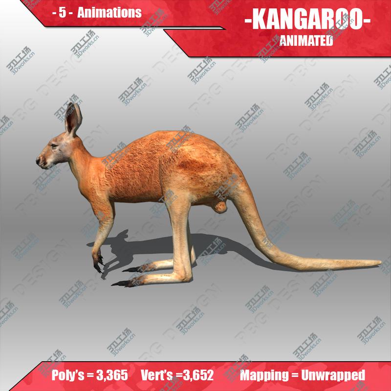 images/goods_img/2021040162/Kangaroo Animated/2.jpg